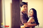 Harold + Tracy Pre-Nup 0008